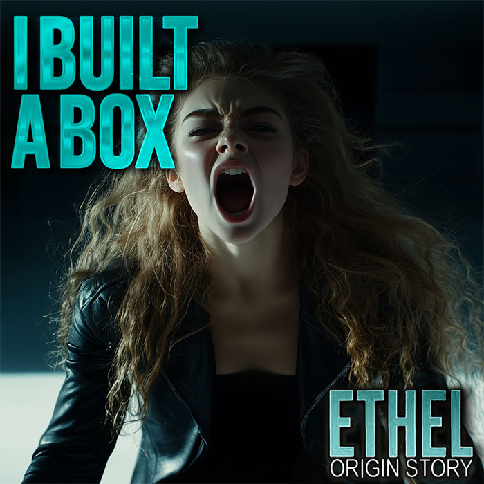 I Built A Box cover art